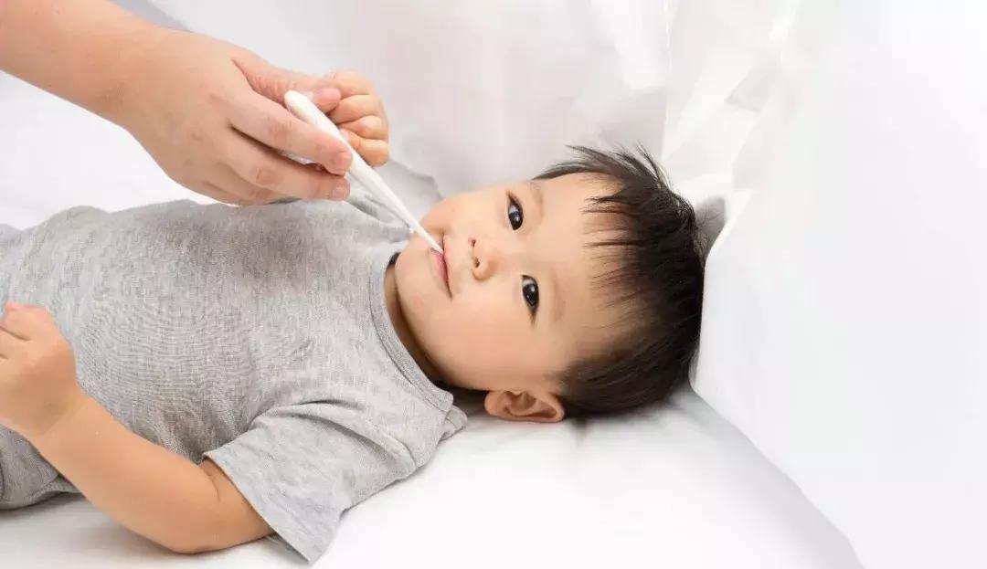 益生菌认识的十大误区,益生菌有益健康多多益善说法对吗