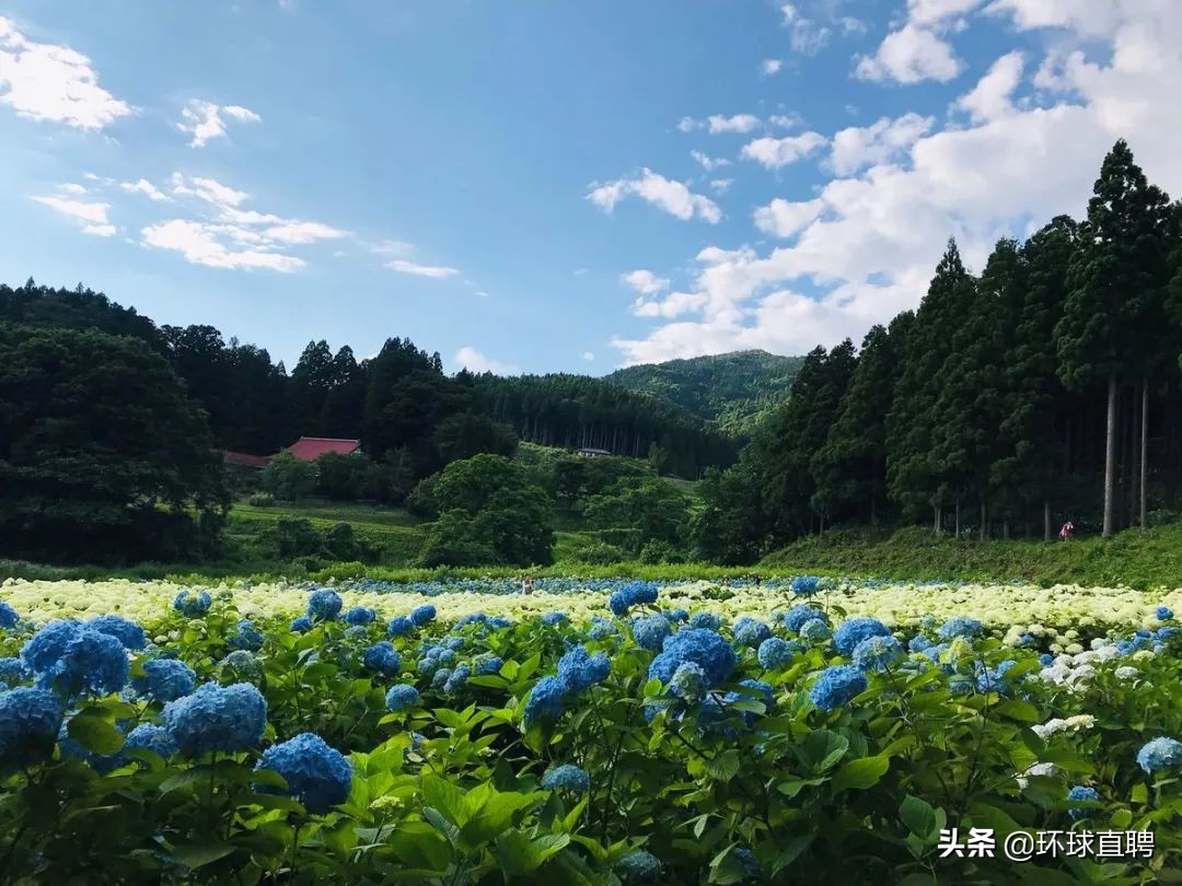 疫情中唯一没有失守的岩手县，你真的没有好好认识过它！