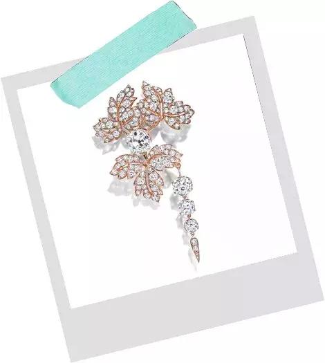 tiffany最美的时光,tiffany的美好时光