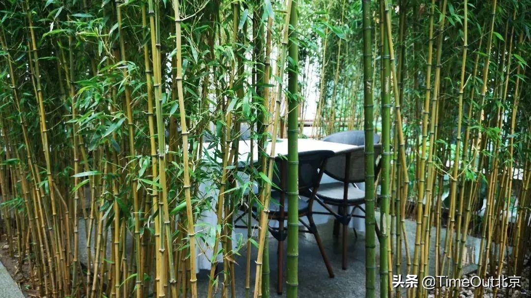 不管预算几位数，七夕情人节都能好好安排