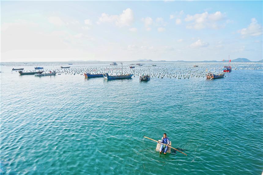 嵊泗美食推荐攻略,嵊泗列岛旅游攻略美食