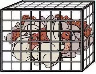 四季学堂养生课,吃鸡的忌口