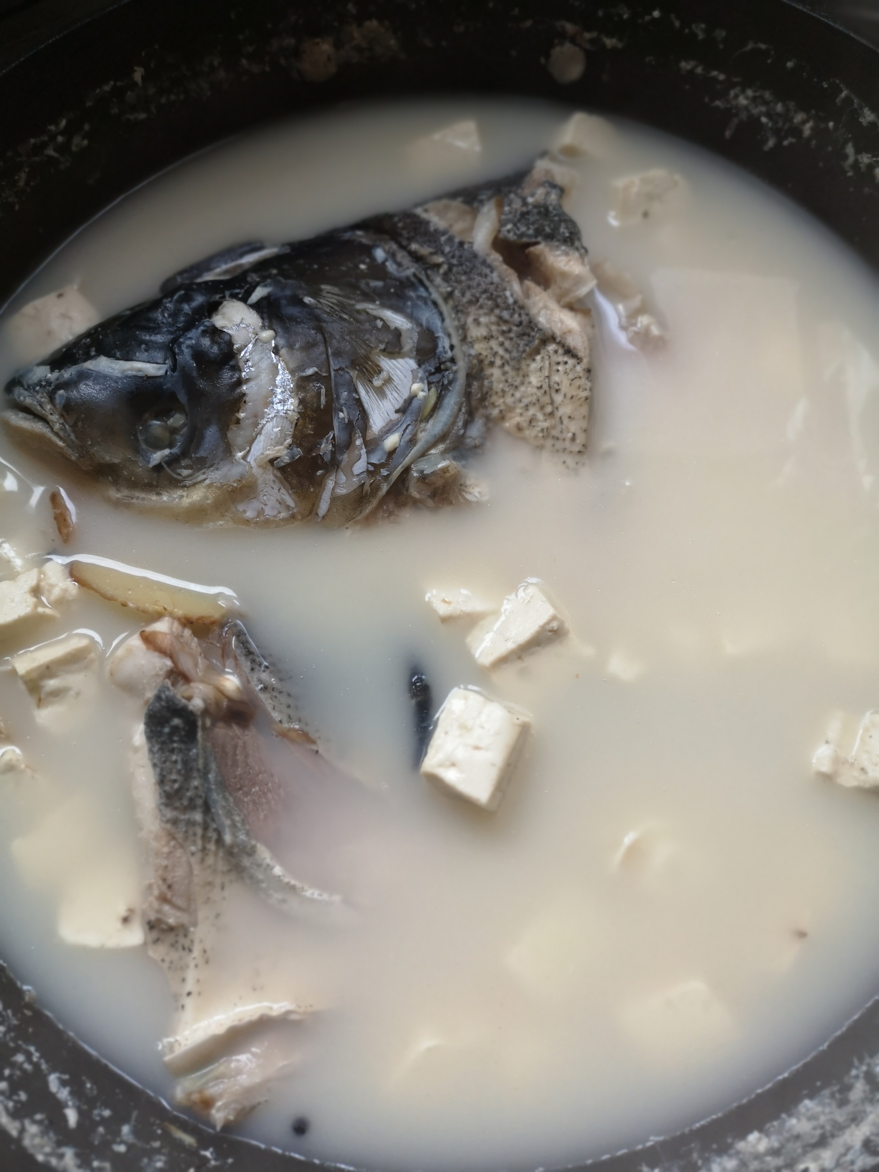 白鲢鱼炖豆腐汤正宗做法,炖鲢鱼豆腐汤不腥的正确方法