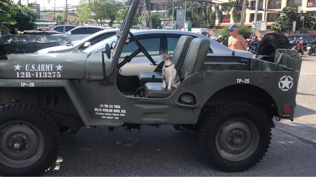 泰国买房政治风险,泰国炒房陷阱大揭秘