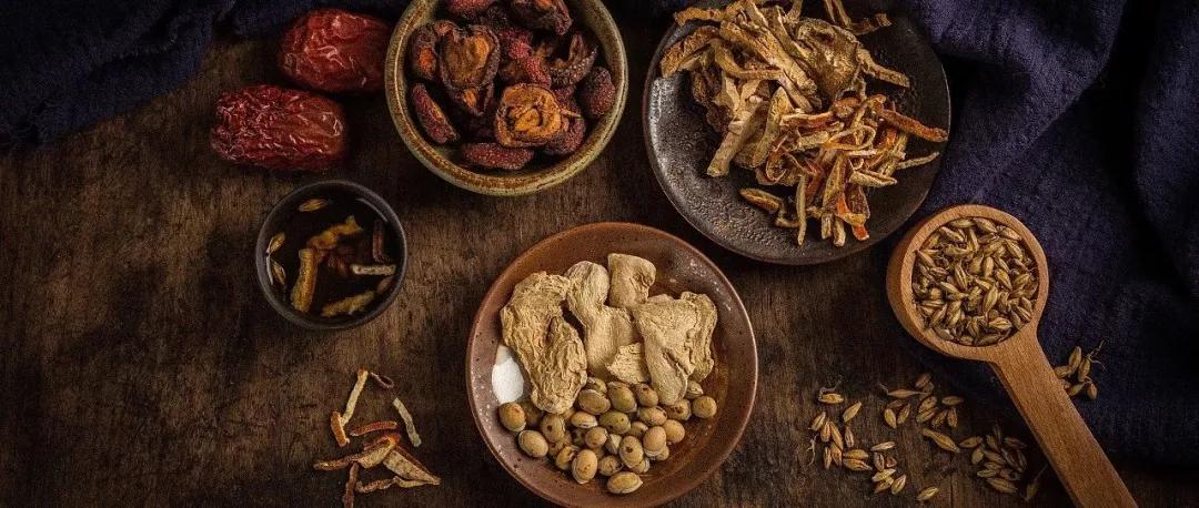 鲁兆麟讲中医各家学说,鲁兆麟说中医