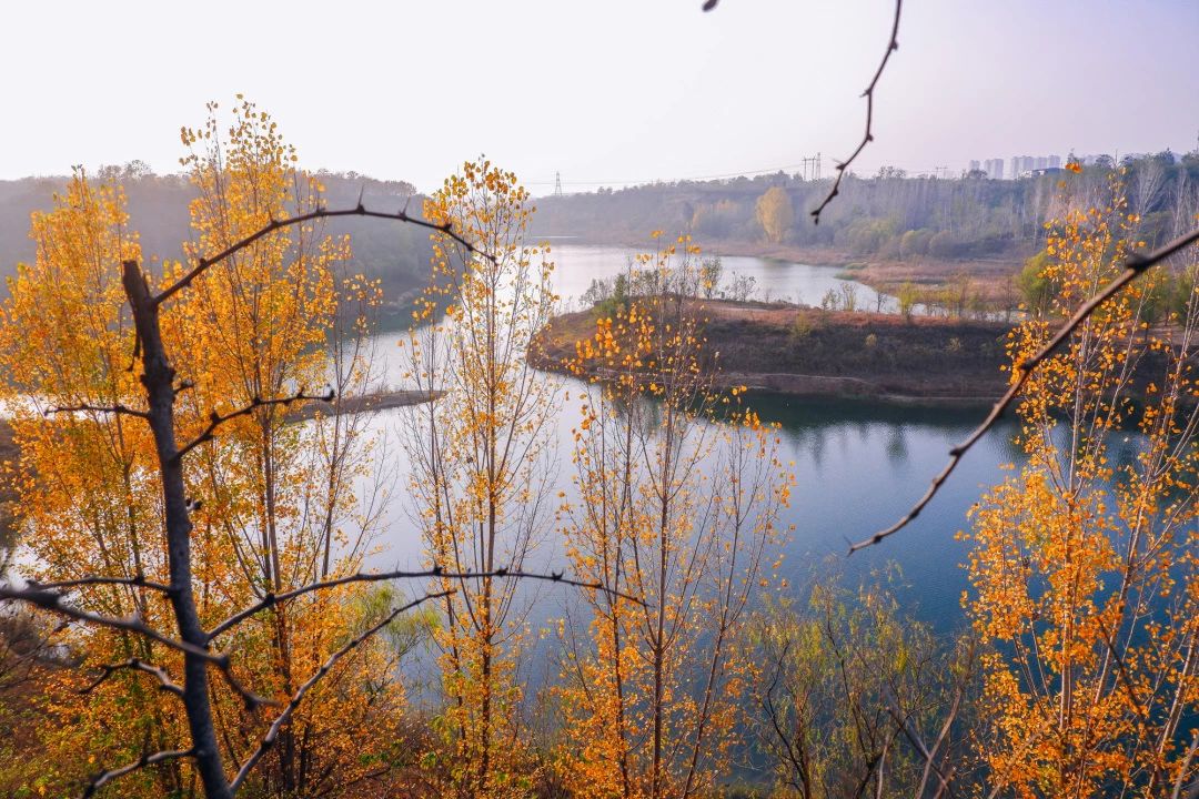 郑州漂亮的秋色风景,郑州的这些湖畔藏着最美的秋色