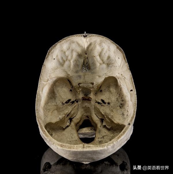 你知道这是什么吗英文,你知道这是啥吗韩文