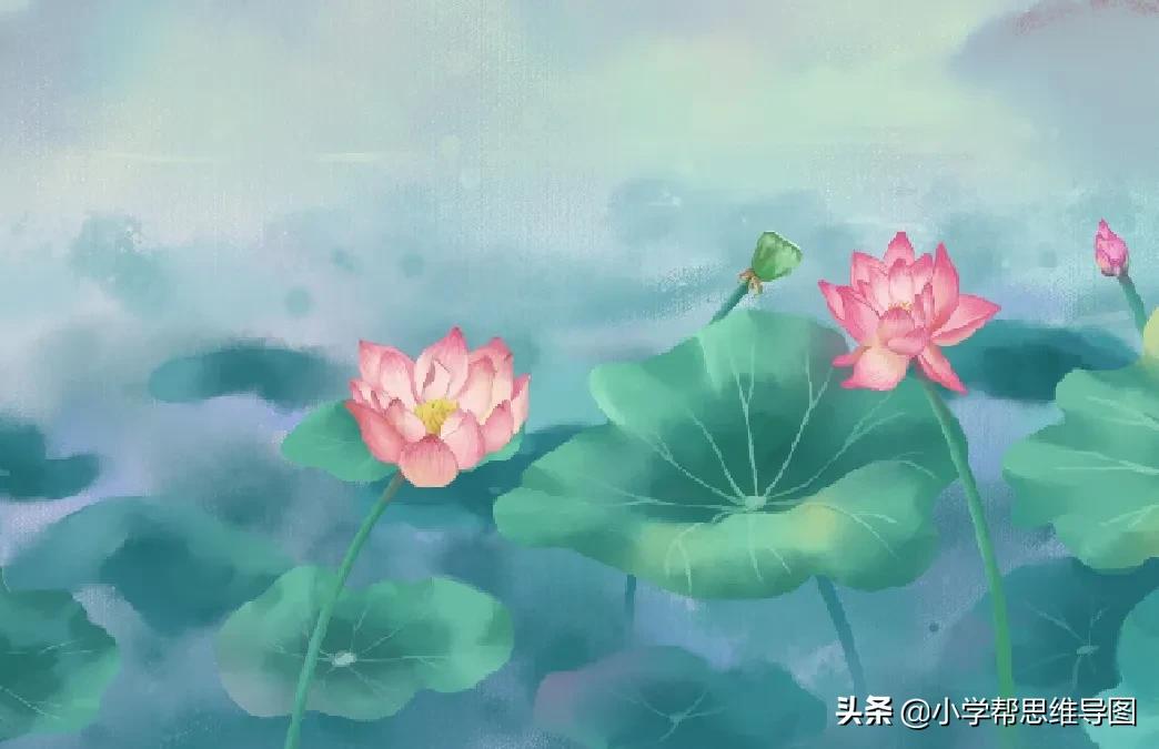 作文舌尖上的美食福州,作文舌尖上的美食饺子