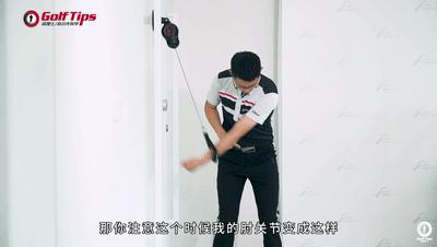 鸡翅膀修正方法,有什么方法能防止鸡啄羽