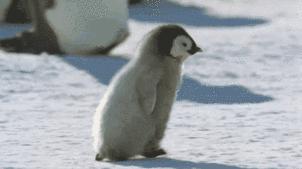 好物推荐居家必备购物车,购物车里好物推荐请下单