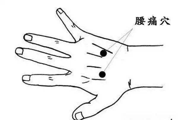 按手背哪个部位穴位可缓解腰痛,手上哪个穴位可以缓解腰部酸痛