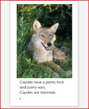 分级阅读选择raz的理由,raz分级阅读要掌握到什么程度