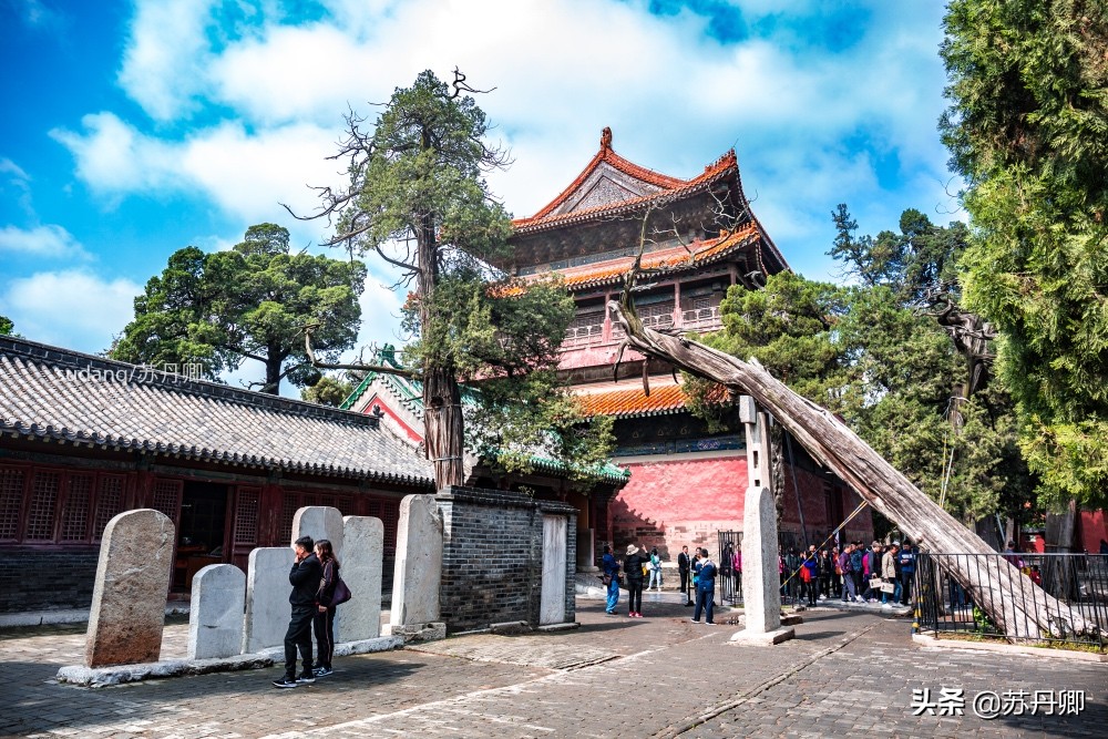 被梁思成称为中国第一国宝的建筑,梁思成曲阜孔庙主要内容