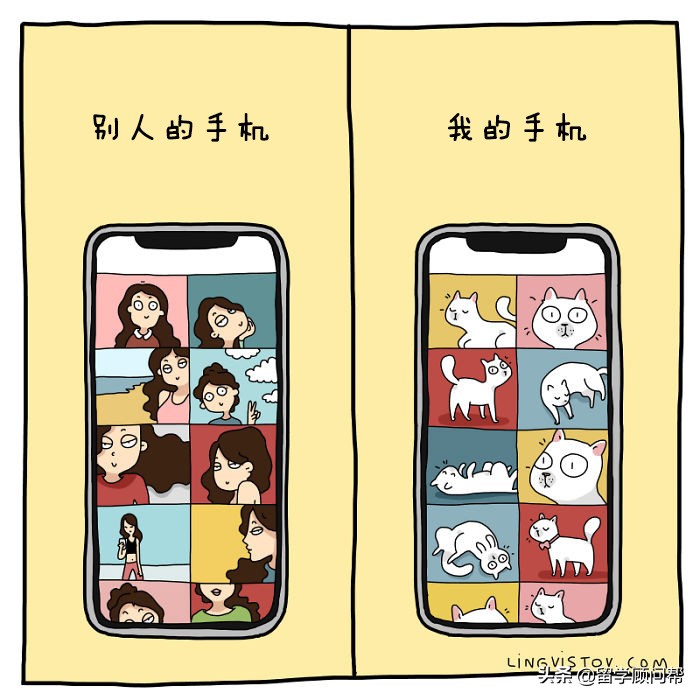 猫主子的日常暹罗猫铲屎官的乐趣,猫吸猫主子的日常