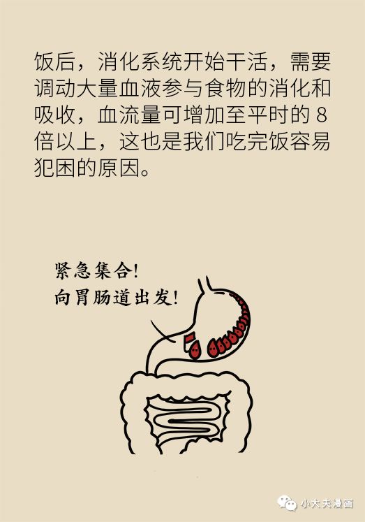 儿童小肠切除后遗症,儿童小肠切除术多久能恢复正常