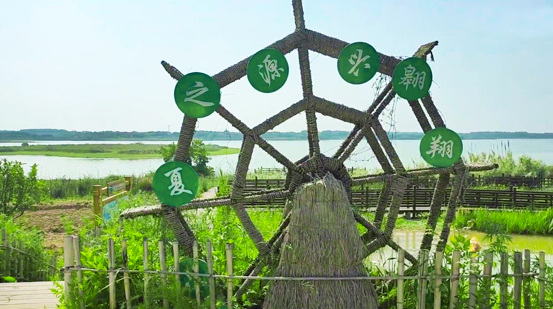 武汉绝美湿地公园,武汉东湖湿地公园景点