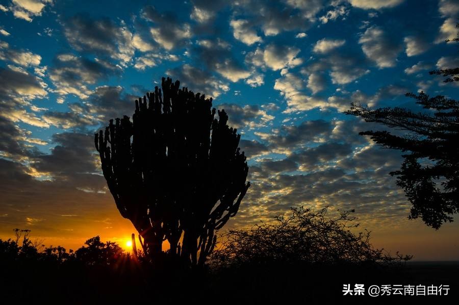 来云南感受彝族特色民族文化,云南彝族的文化和风土人情