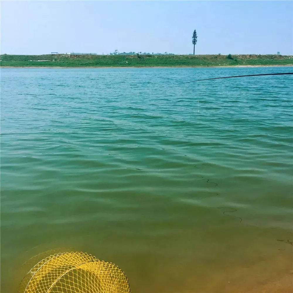 来长沙一定要来橘子洲,长沙橘子洲值得去吗