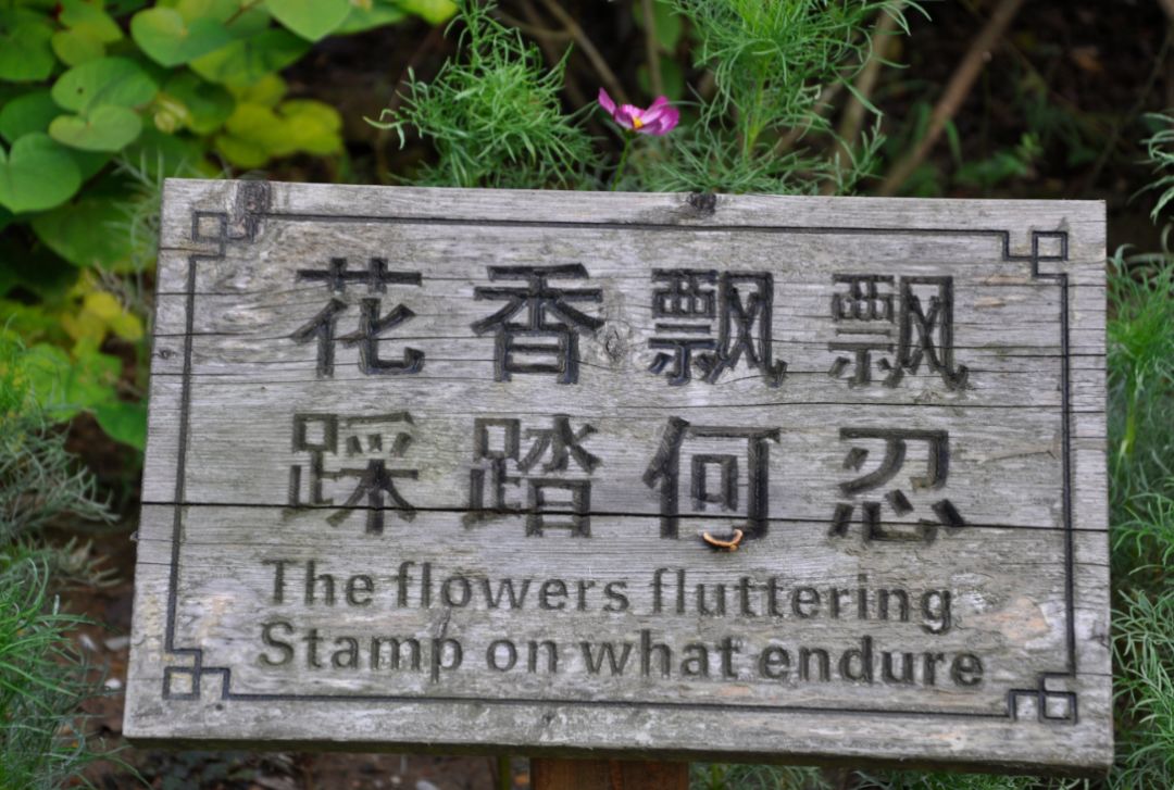 瀹滃叴绔规捣璇︾粏鏀荤暐,瀹滃叴绔规捣娓稿鏀荤暐