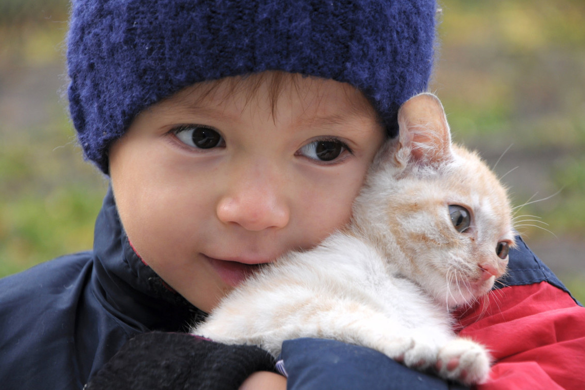 正确的抱猫咪的姿势,如何正确的抱猫咪
