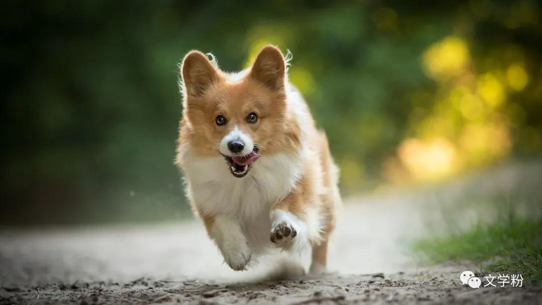 私教文案吸引人朋友圈,项链文案朋友圈吸引人