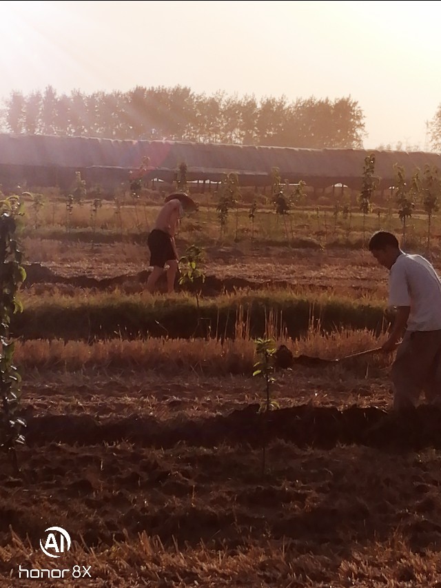 每年的芒种时间固定吗,芒种时间是每年几月