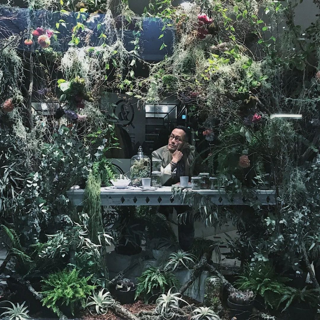 金盆洗手吧，植物杀手们