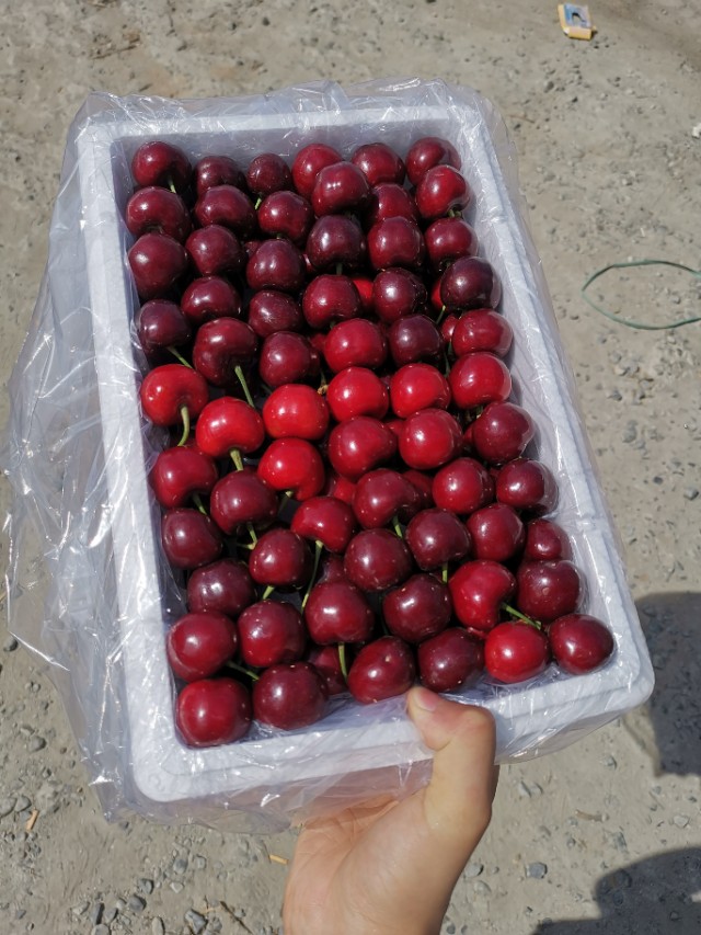 水果预售成功案例,网络卖水果骗局揭秘视频