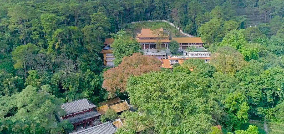 冬天看雪的最佳旅游地广西,广西冬天适合去的旅游胜地