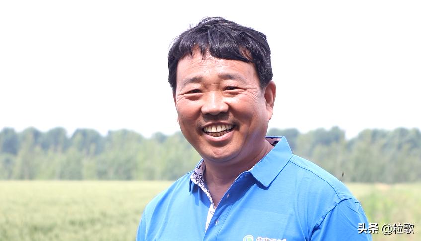 小麦用水溶肥提质增产,小麦防虫防病八合一高产水溶肥