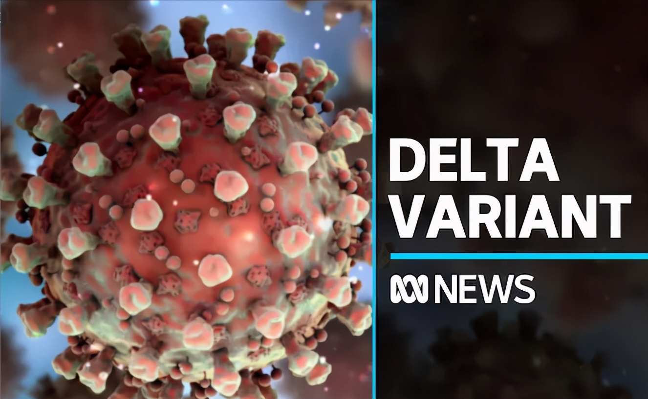 印度毒王最新信息,印度毒王视频