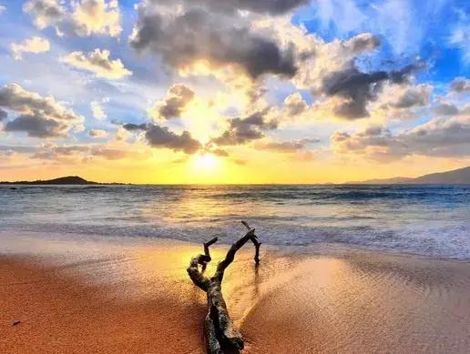 安慰心累的心灵鸡汤经典语录,励志爱情心灵鸡汤语录简短大全