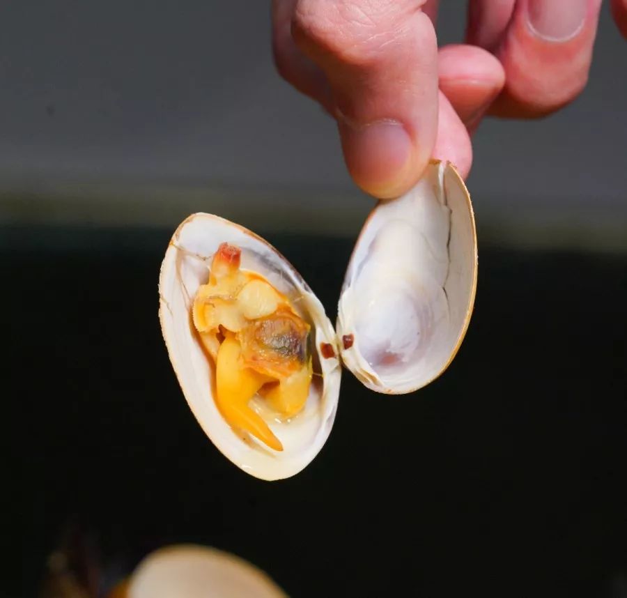 吃在济南｜超大大大号西班牙海鲜饭，海鲜比饭多！不服来战