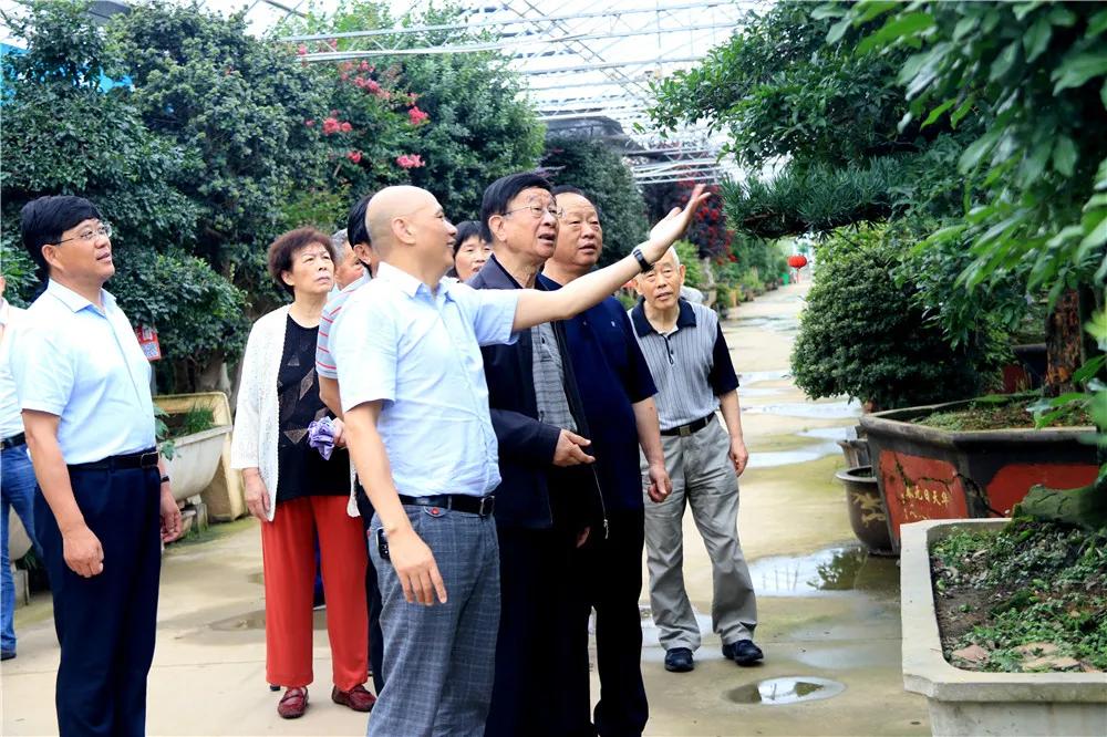 宿迁市沭阳县沭阳国际花木城,沭阳国际花木城布局