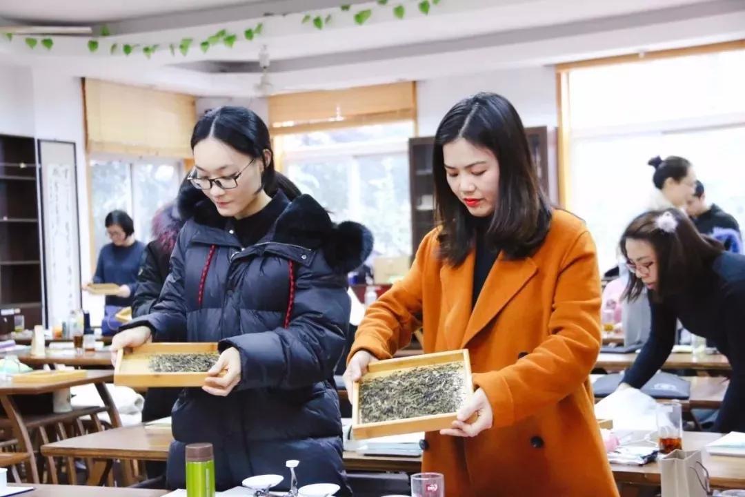 浙江茶艺师培训：全国一二级茶艺师培训班招生，各等级长年报名中