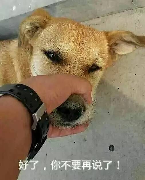 技巧｜双十一等大促薅bug价羊毛的方法，我再教最后一遍