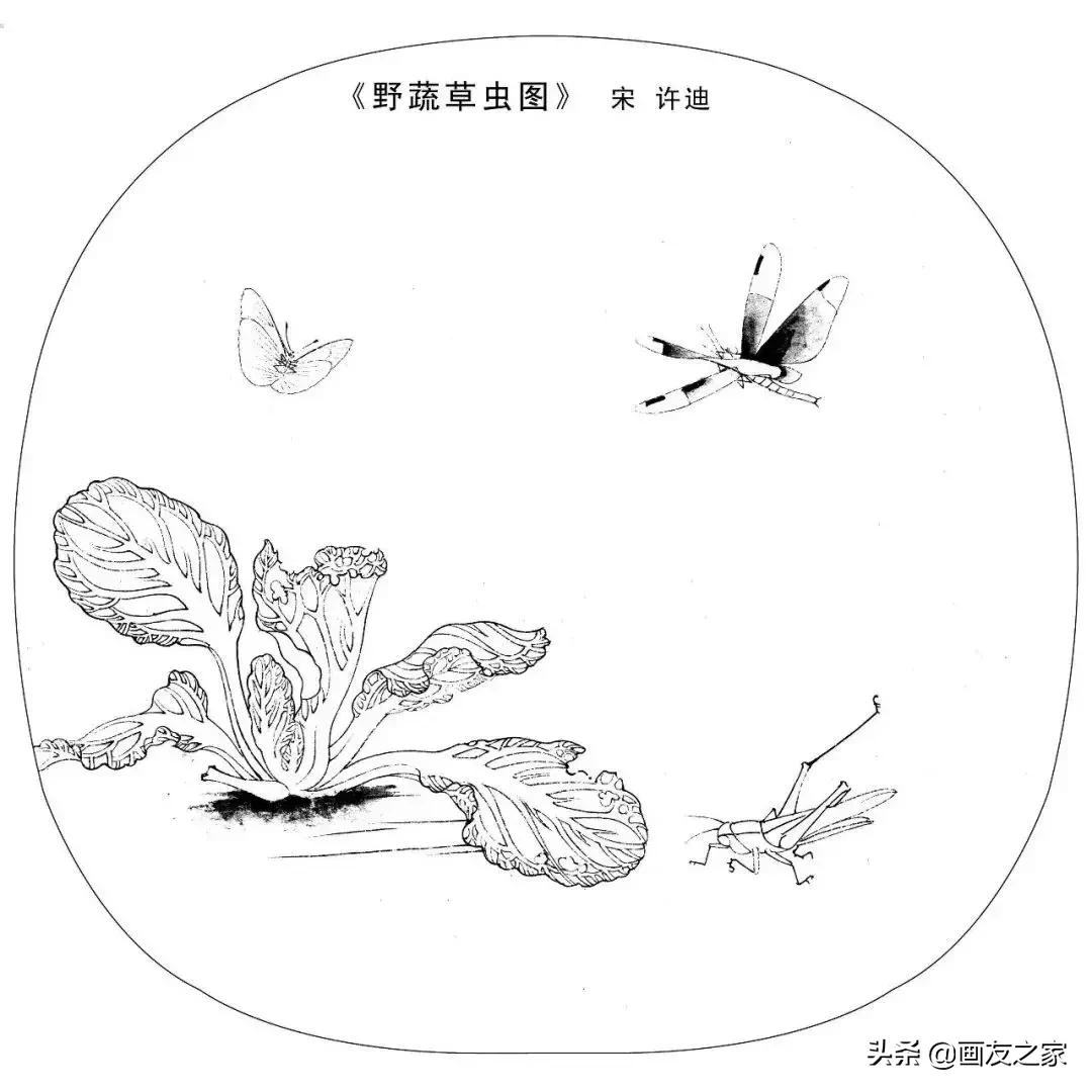 宋花鸟工笔画高清大图临摹过程,宋画工笔画花卉上色教程