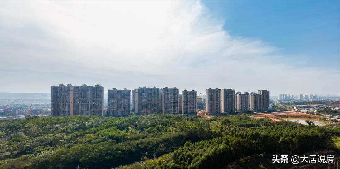 曾一度被看好,如今却陷入争议,龙岗没有前途了?