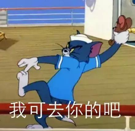 古代猫奴是什么意思,古代猫奴