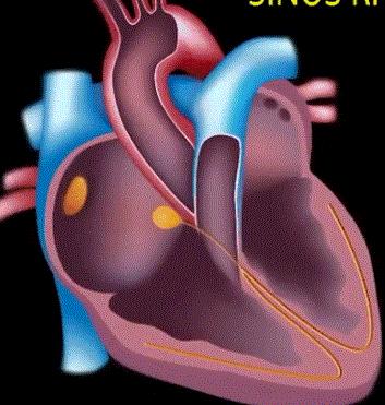 跑步十公里会对身体造成什么损害,跑步十年的危害