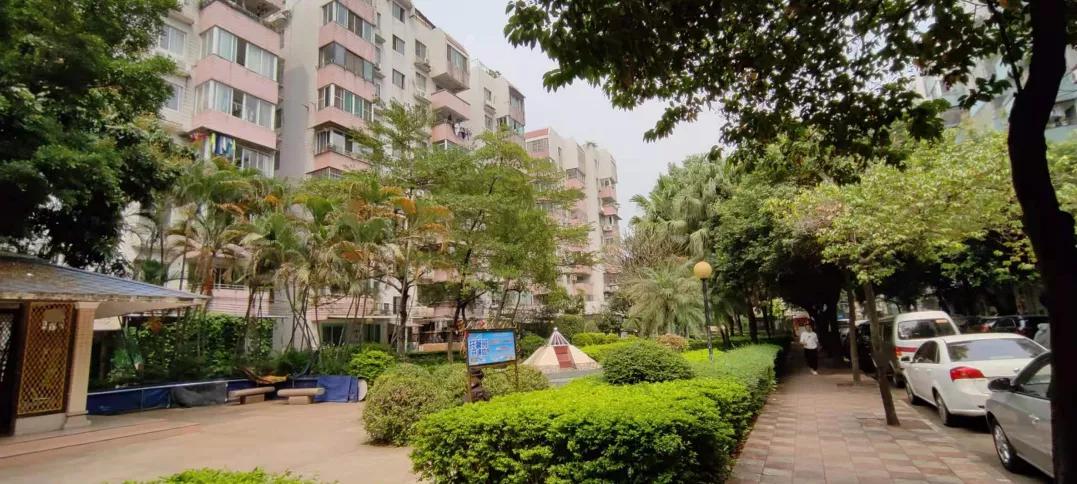 广州海珠区东晓南看房视频,广州东晓南看房