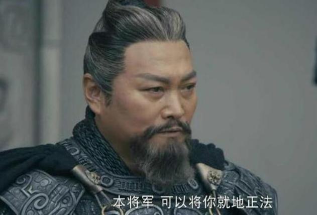 三国时期有哪些骠骑大将军,三国当中的十大将军