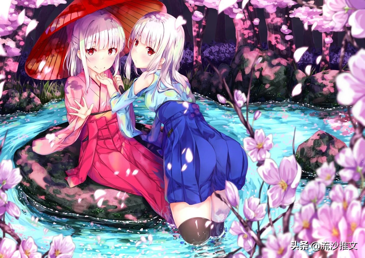 4本高质量冷门言情文,5本最新高口碑言情文