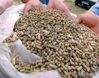 鸡冠发白的原因及解决方法,鸡冠发白还倒冠怎么了