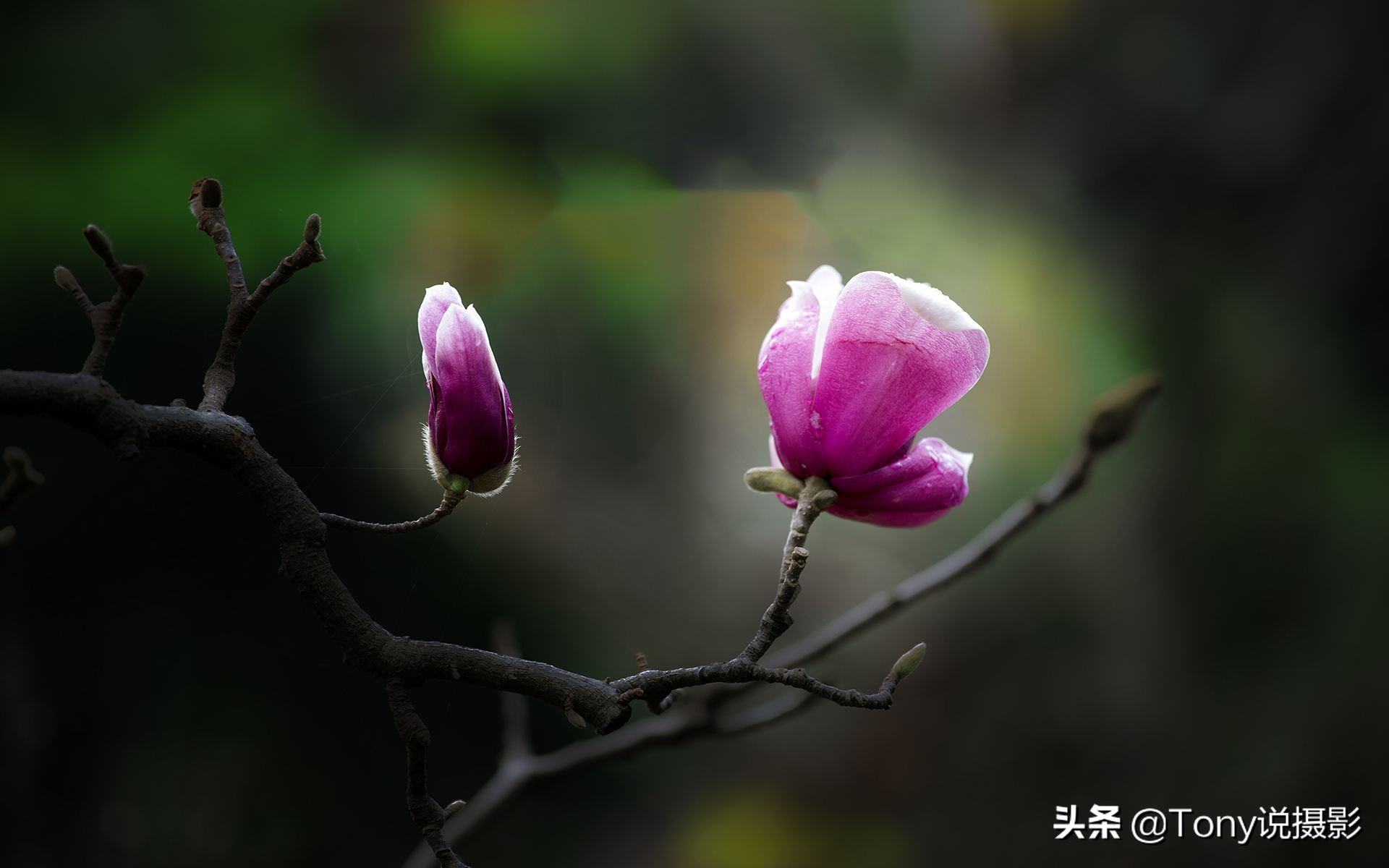 摄影:照片拍糊怎么办?4个应对技巧要学会