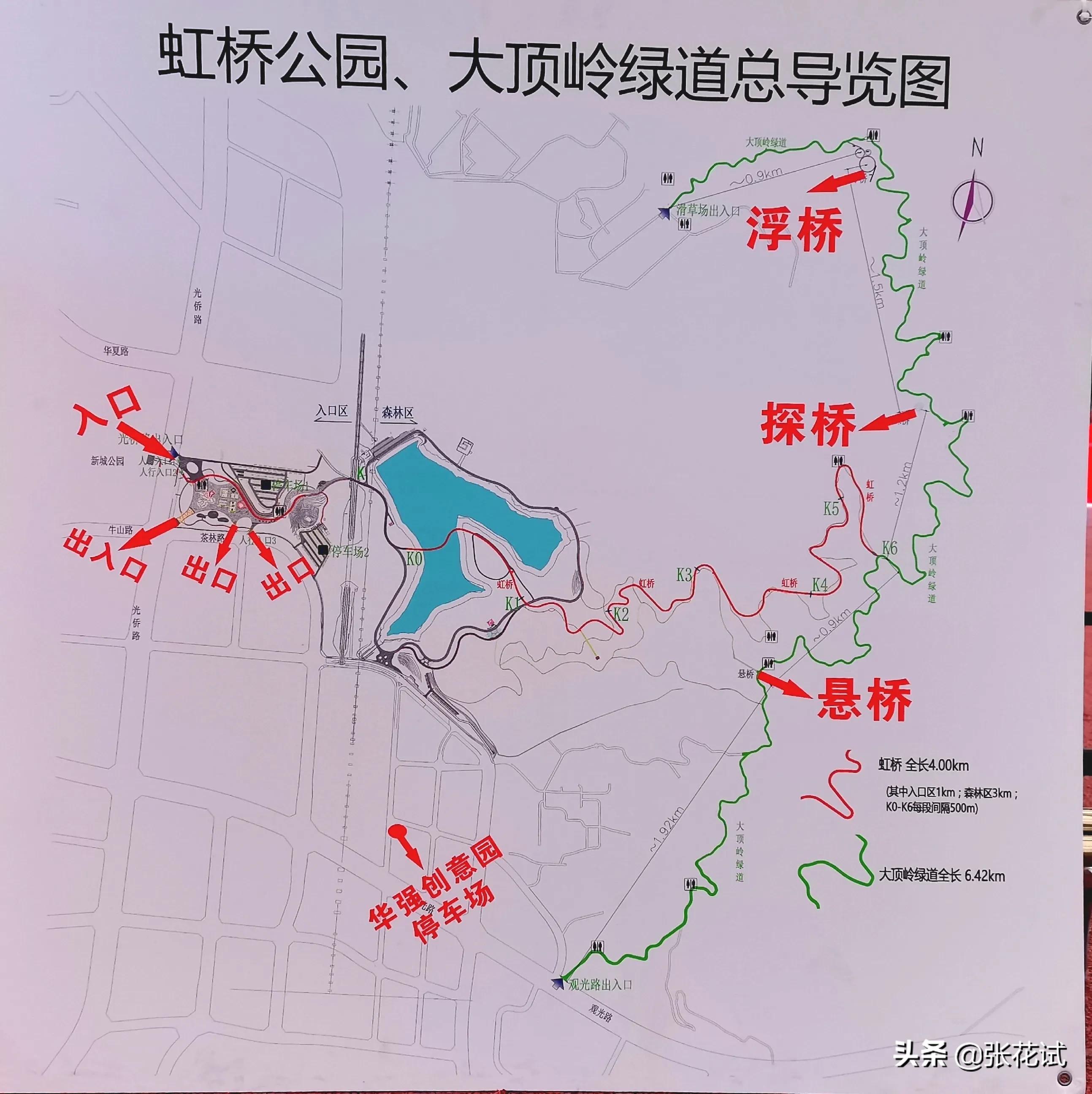 新春踏上深圳光明“虹”地毯，牛年红红火火