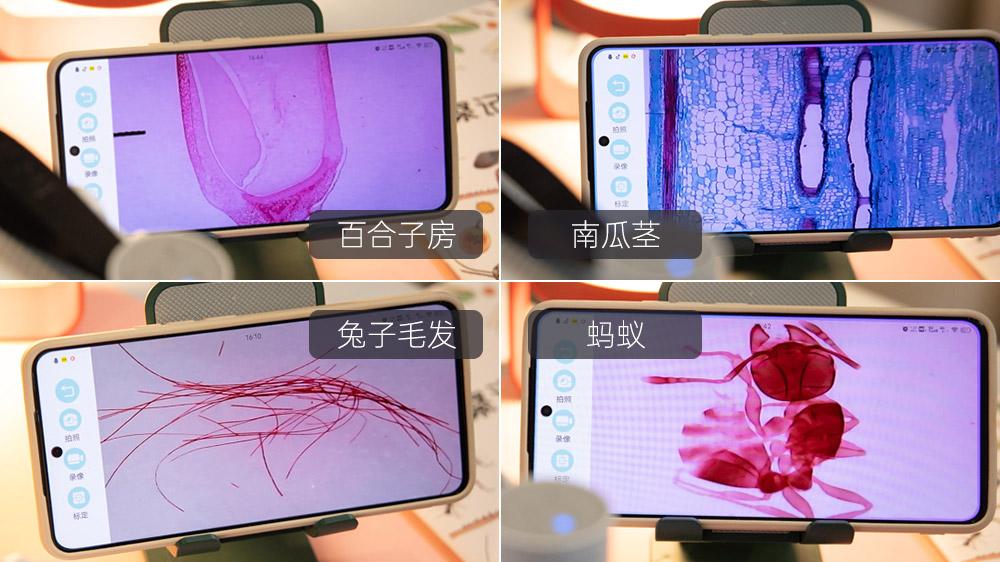 当当狸智能显微镜儿童便携式,当当狸智能显微镜测试