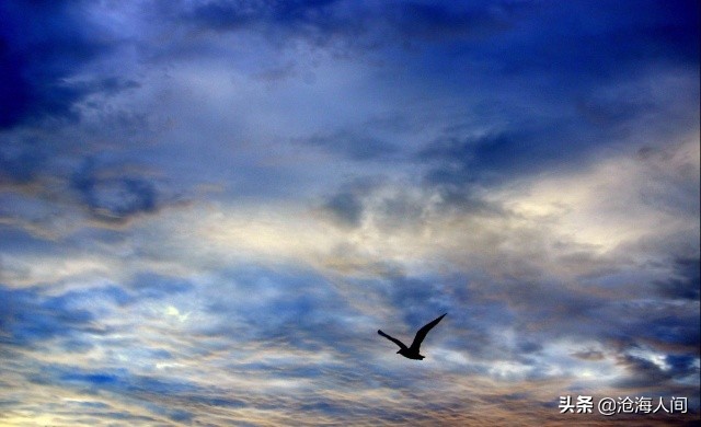 披头士歌曲大全100首,披头士乐队最经典歌曲