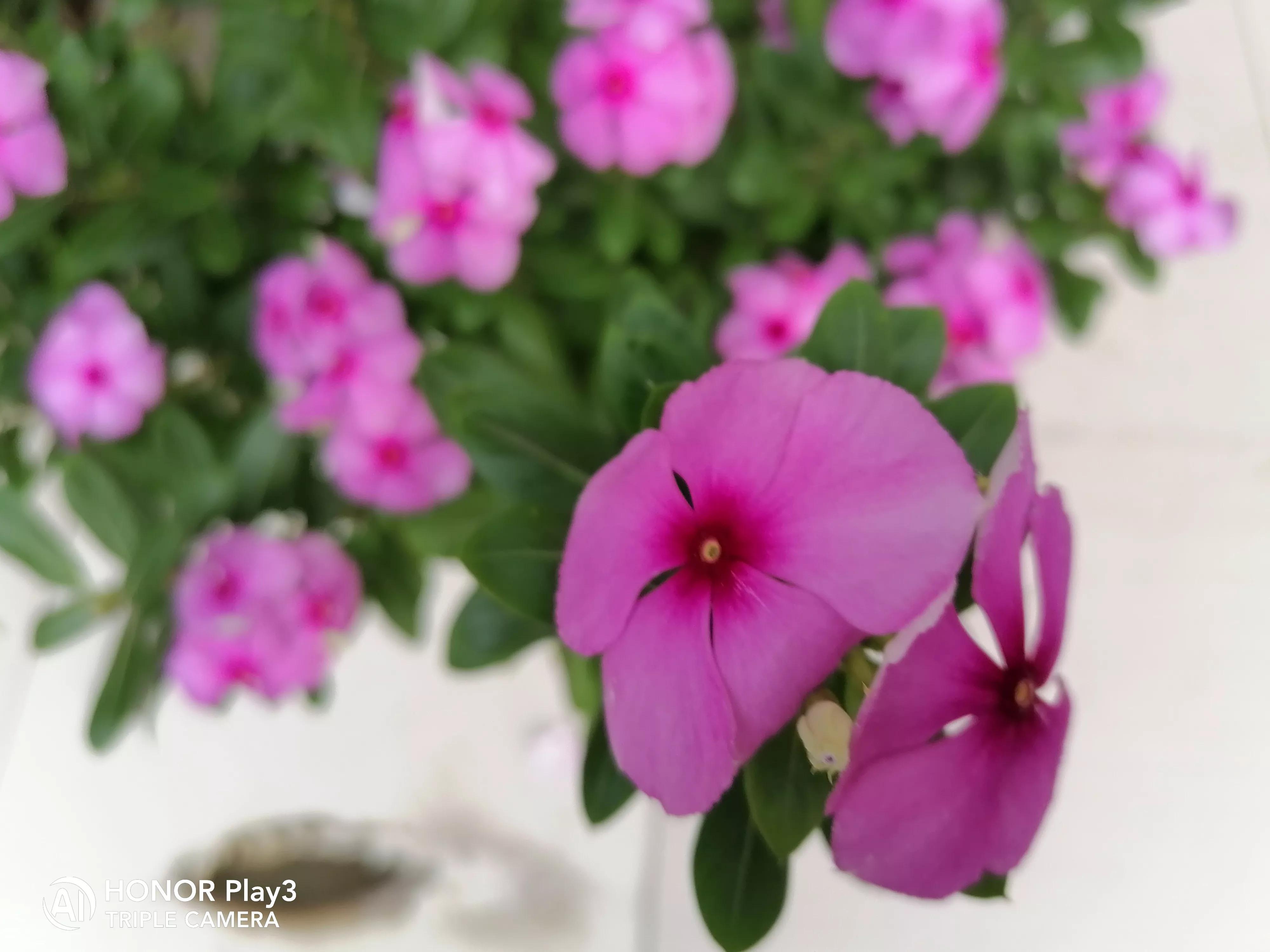 信用卡为什么很少申请强制执行,信用卡被法院执行带来的后果