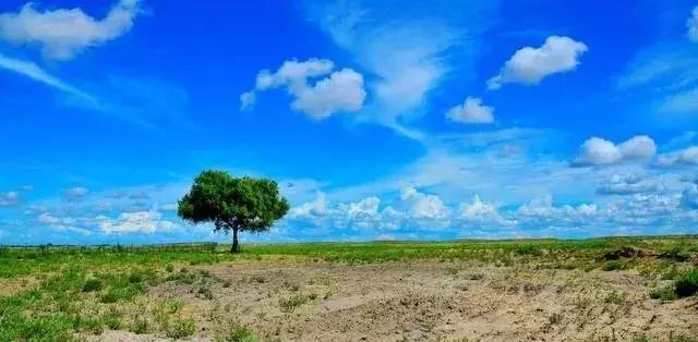 内蒙古通辽景点排名第一的是哪里,内蒙古通辽市旅游景点都有哪些